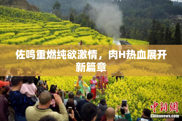 佐鸣重燃纯欲激情，肉H热血展开新篇章