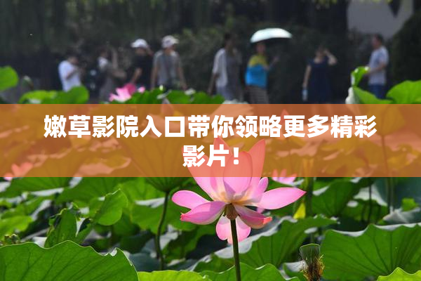 嫩草影院入口带你领略更多精彩影片！