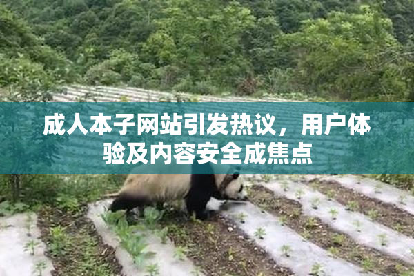 成人本子网站引发热议，用户体验及内容安全成焦点
