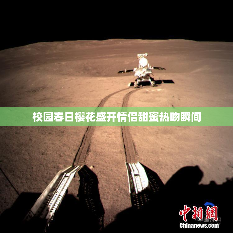 校园春日樱花盛开情侣甜蜜热吻瞬间