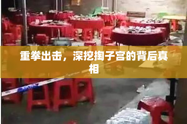重拳出击，深挖掏子宫的背后真相