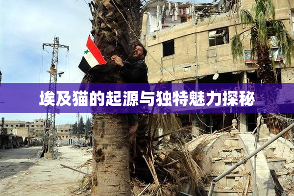 埃及猫的起源与独特魅力探秘