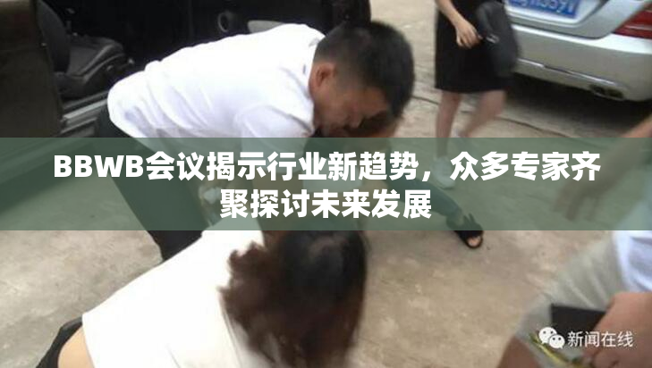 BBWB会议揭示行业新趋势，众多专家齐聚探讨未来发展