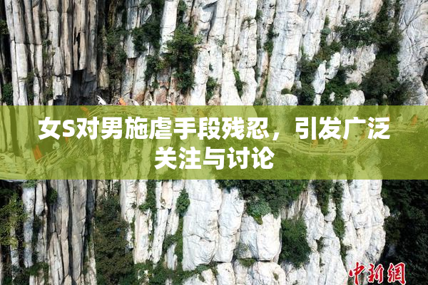 女S对男施虐手段残忍，引发广泛关注与讨论