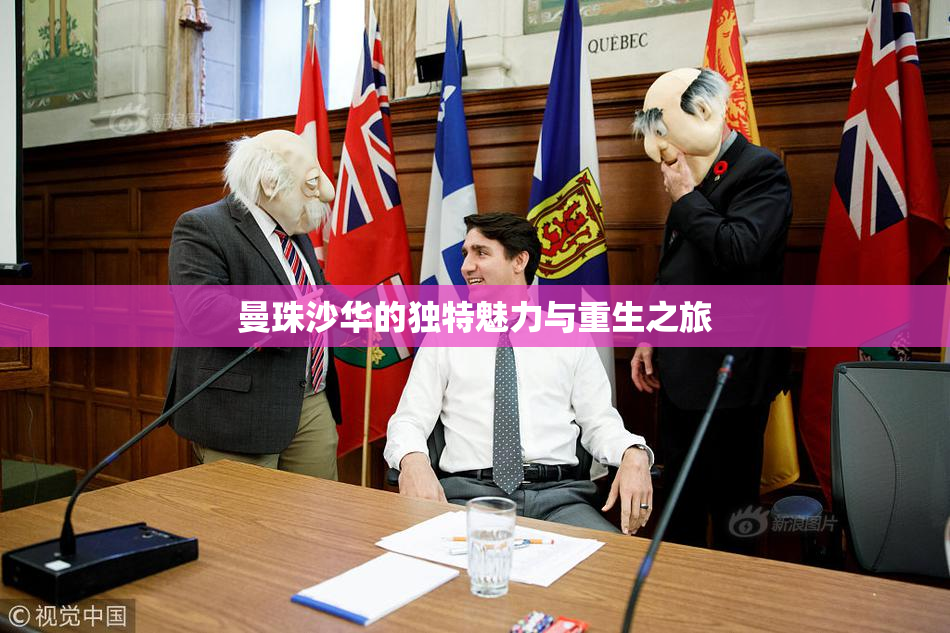 曼珠沙华的独特魅力与重生之旅