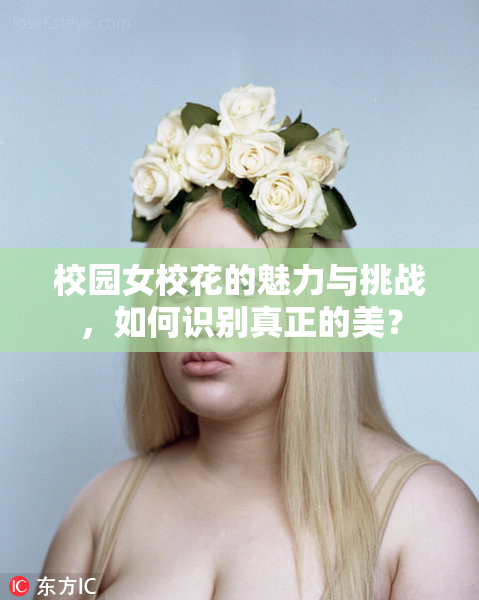 校园女校花的魅力与挑战，如何识别真正的美？