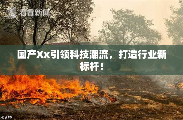 国产Xx引领科技潮流，打造行业新标杆！