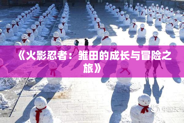 《火影忍者：雏田的成长与冒险之旅》