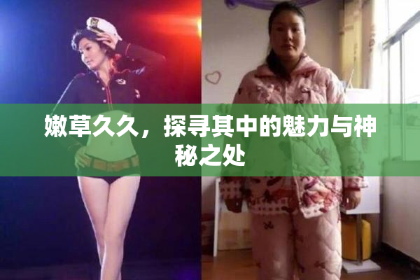 嫩草久久，探寻其中的魅力与神秘之处