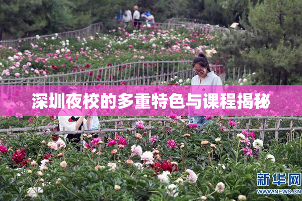 深圳夜校的多重特色与课程揭秘