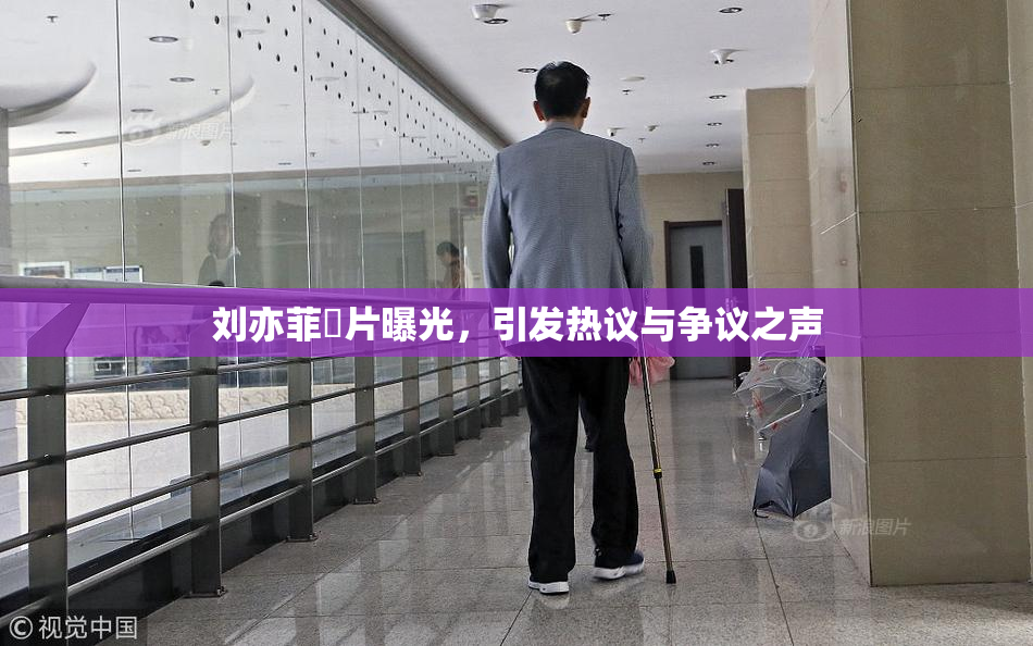 刘亦菲婬片曝光，引发热议与争议之声