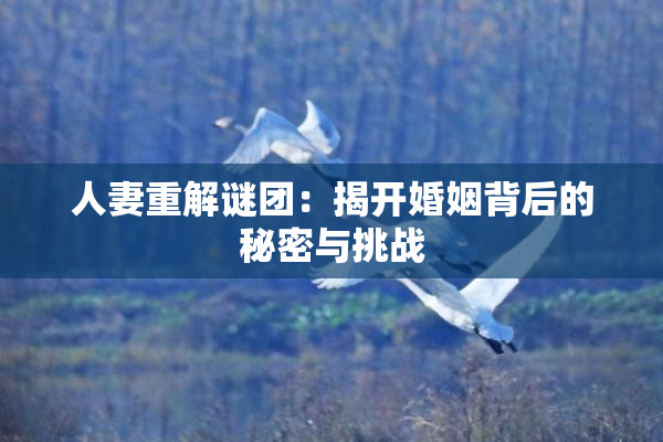 人妻重解谜团：揭开婚姻背后的秘密与挑战