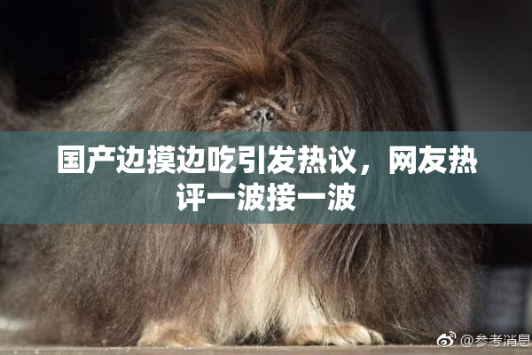 国产边摸边吃引发热议，网友热评一波接一波