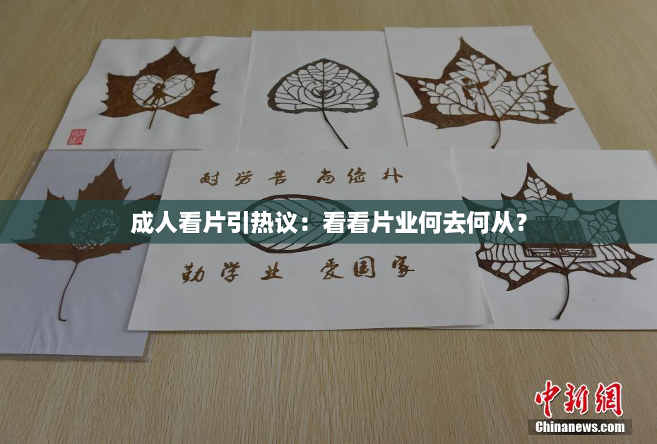 成人看片引热议：看看片业何去何从？