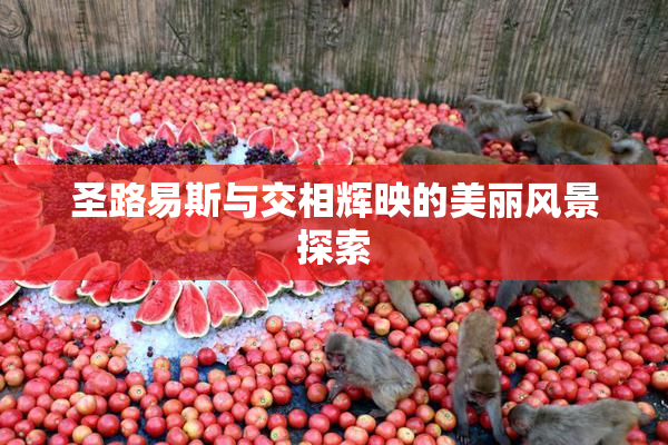 圣路易斯与交相辉映的美丽风景探索