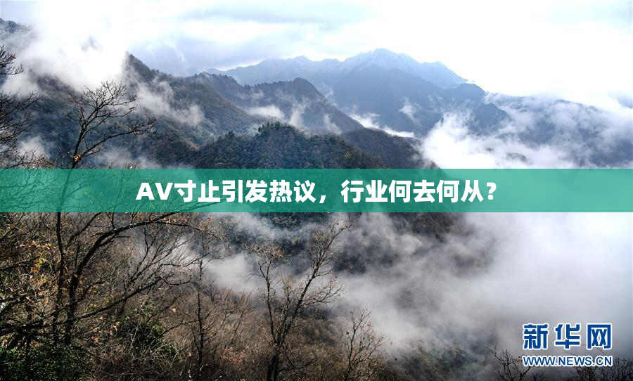 AV寸止引发热议，行业何去何从？