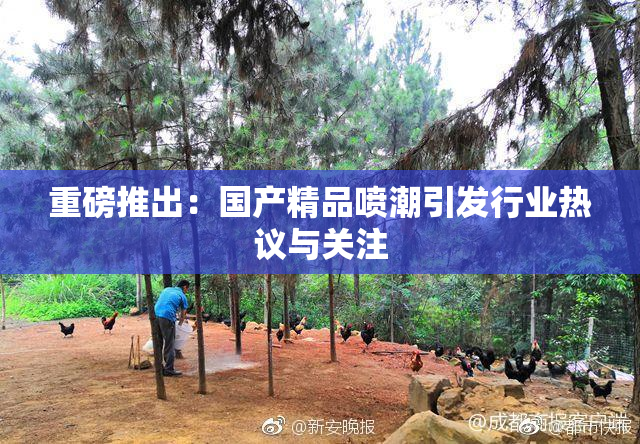 重磅推出：国产精品喷潮引发行业热议与关注