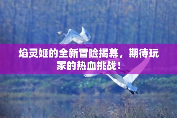 焰灵姬的全新冒险揭幕，期待玩家的热血挑战！