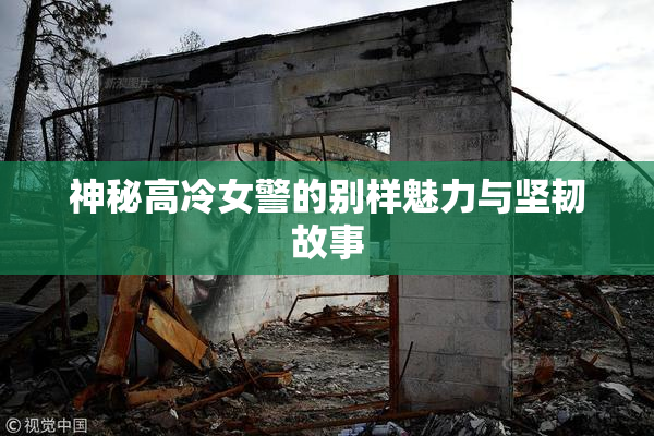 神秘高冷女警的别样魅力与坚韧故事