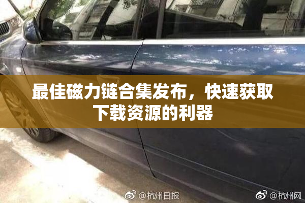最佳磁力链合集发布，快速获取下载资源的利器