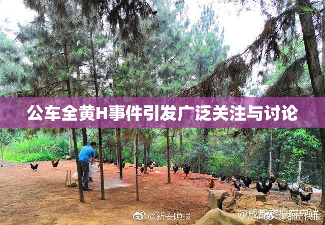 公车全黄H事件引发广泛关注与讨论