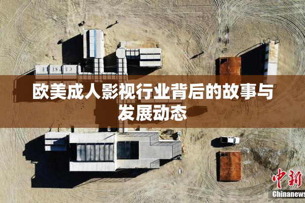 欧美成人影视行业背后的故事与发展动态