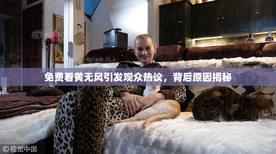 免费看黄无风引发观众热议，背后原因揭秘