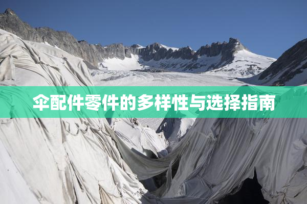 伞配件零件的多样性与选择指南