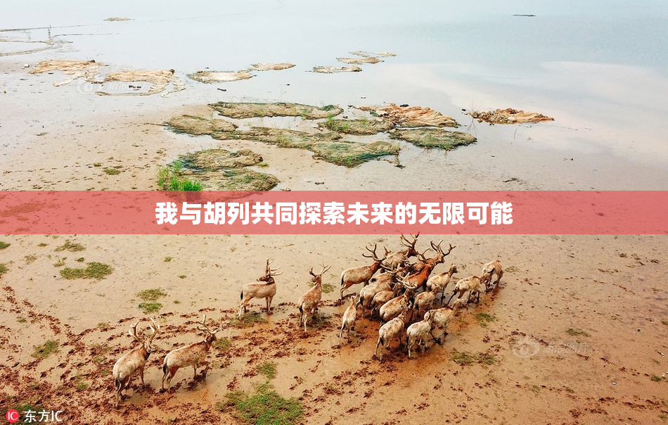 我与胡列共同探索未来的无限可能
