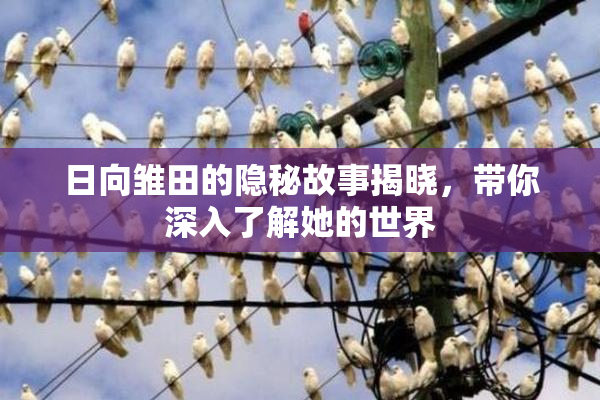 日向雏田的隐秘故事揭晓，带你深入了解她的世界