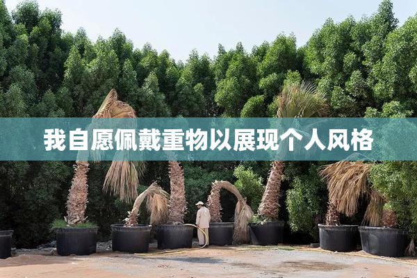 我自愿佩戴重物以展现个人风格