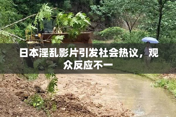 日本淫乱影片引发社会热议，观众反应不一