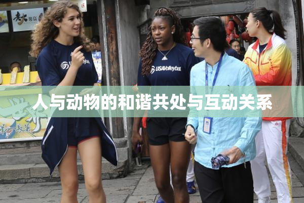人与动物的和谐共处与互动关系