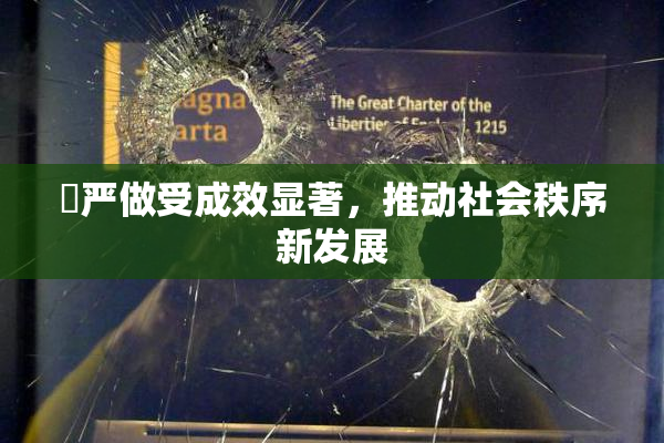 囯严做受成效显著，推动社会秩序新发展