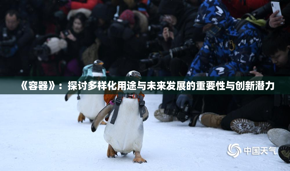 《容器》：探讨多样化用途与未来发展的重要性与创新潜力