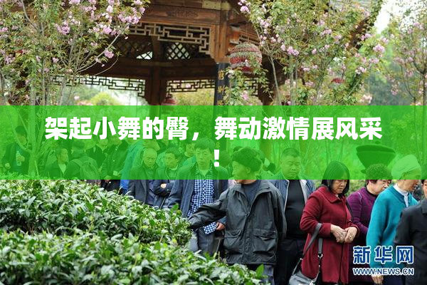 架起小舞的臀，舞动激情展风采！