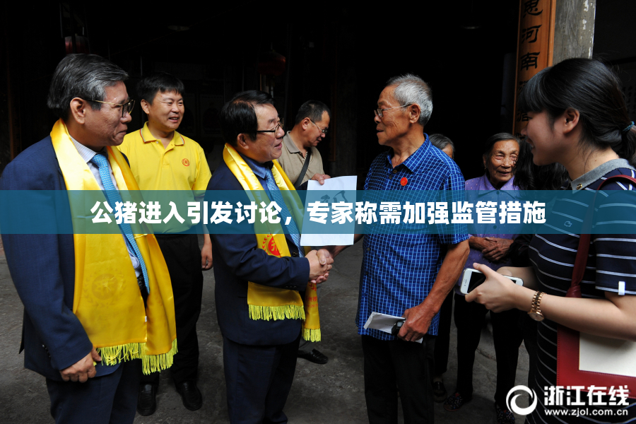 公猪进入引发讨论，专家称需加强监管措施