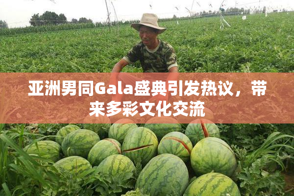 亚洲男同Gala盛典引发热议，带来多彩文化交流