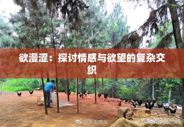 欲漫涩：探讨情感与欲望的复杂交织