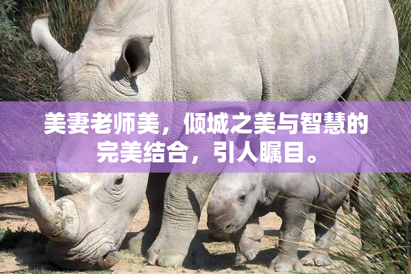 美妻老师美，倾城之美与智慧的完美结合，引人瞩目。