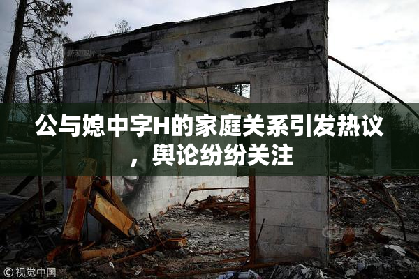 公与媳中字H的家庭关系引发热议，舆论纷纷关注