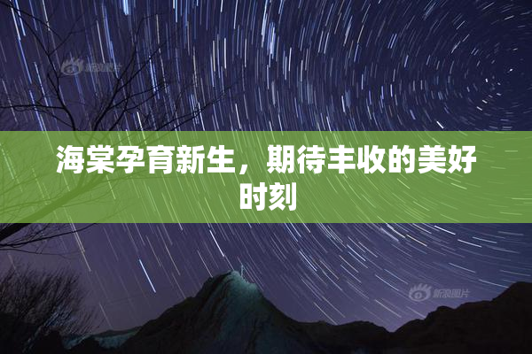 海棠孕育新生，期待丰收的美好时刻