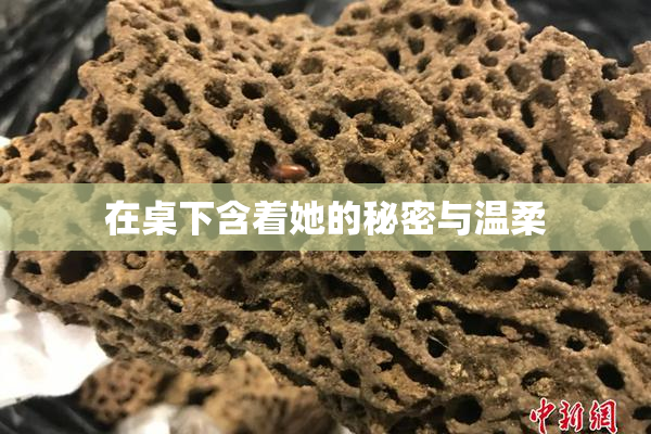 在桌下含着她的秘密与温柔