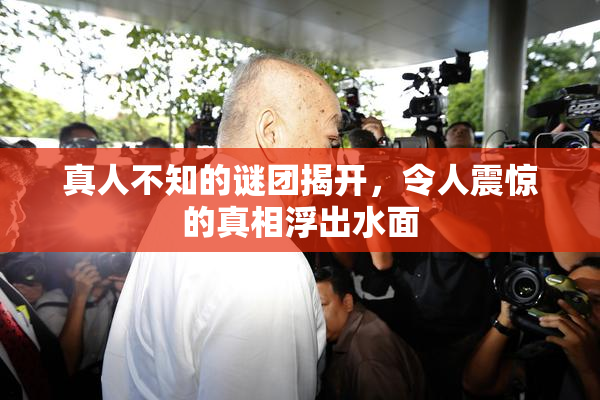 真人不知的谜团揭开，令人震惊的真相浮出水面