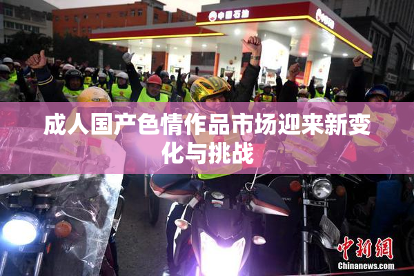 成人国产色情作品市场迎来新变化与挑战
