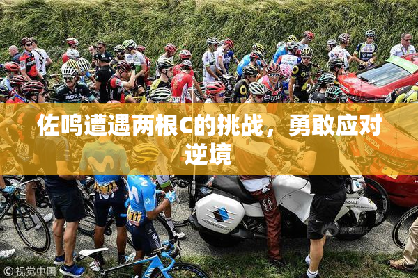 佐鸣遭遇两根C的挑战，勇敢应对逆境