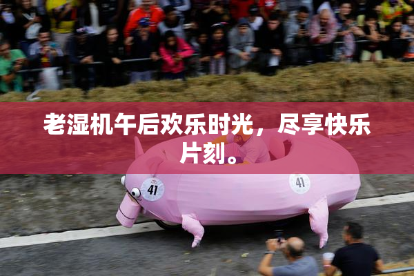 老湿机午后欢乐时光，尽享快乐片刻。