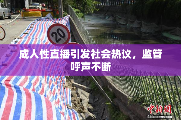 成人性直播引发社会热议，监管呼声不断