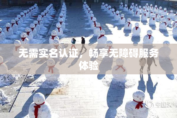 无需实名认证，畅享无障碍服务体验