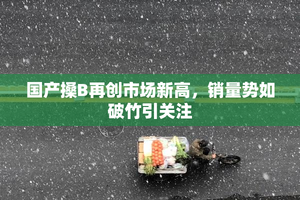 国产搡B再创市场新高，销量势如破竹引关注